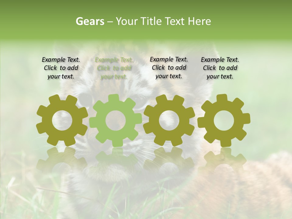 Tigris Nature White PowerPoint Template