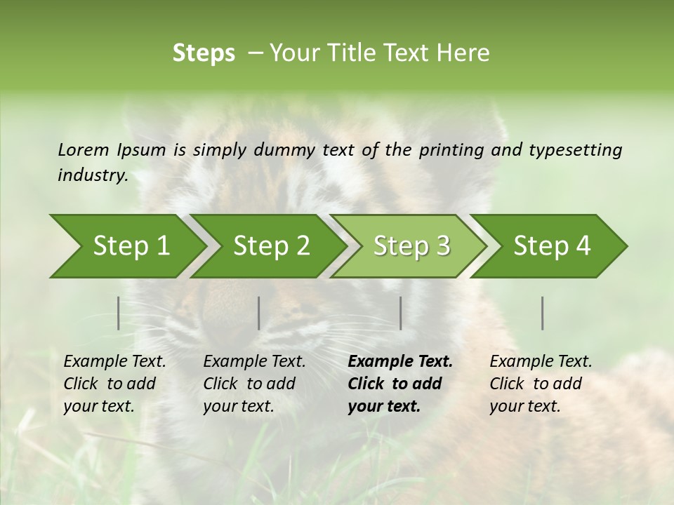 Tigris Nature White PowerPoint Template