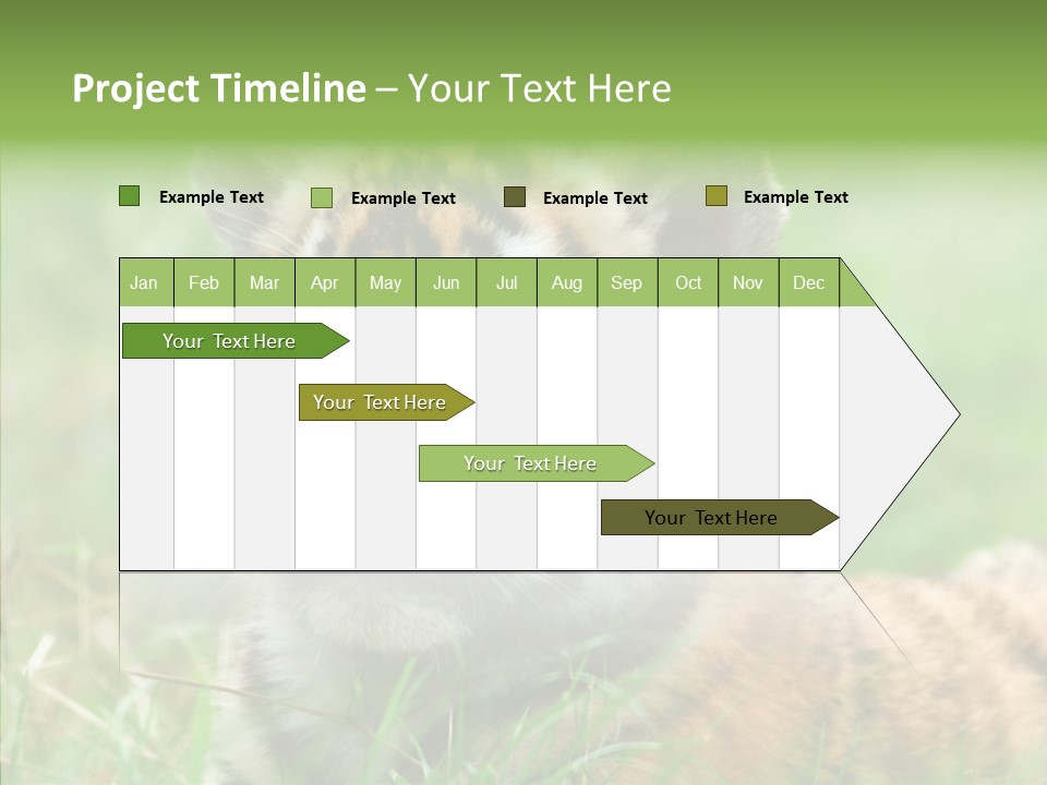 Tigris Nature White PowerPoint Template