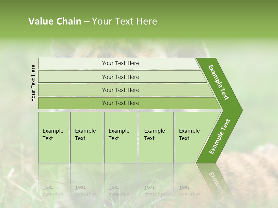 Tigris Nature White PowerPoint Template