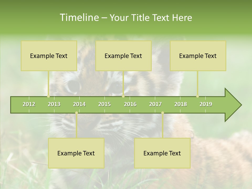 Tigris Nature White PowerPoint Template