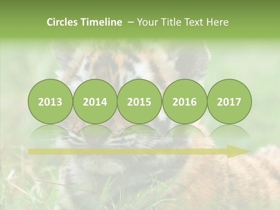 Tigris Nature White PowerPoint Template