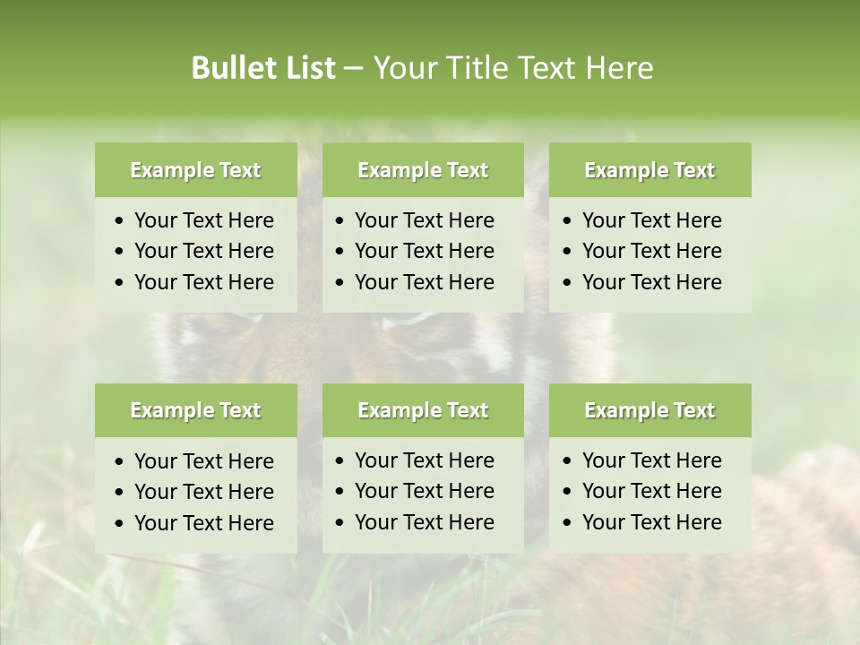 Tigris Nature White PowerPoint Template