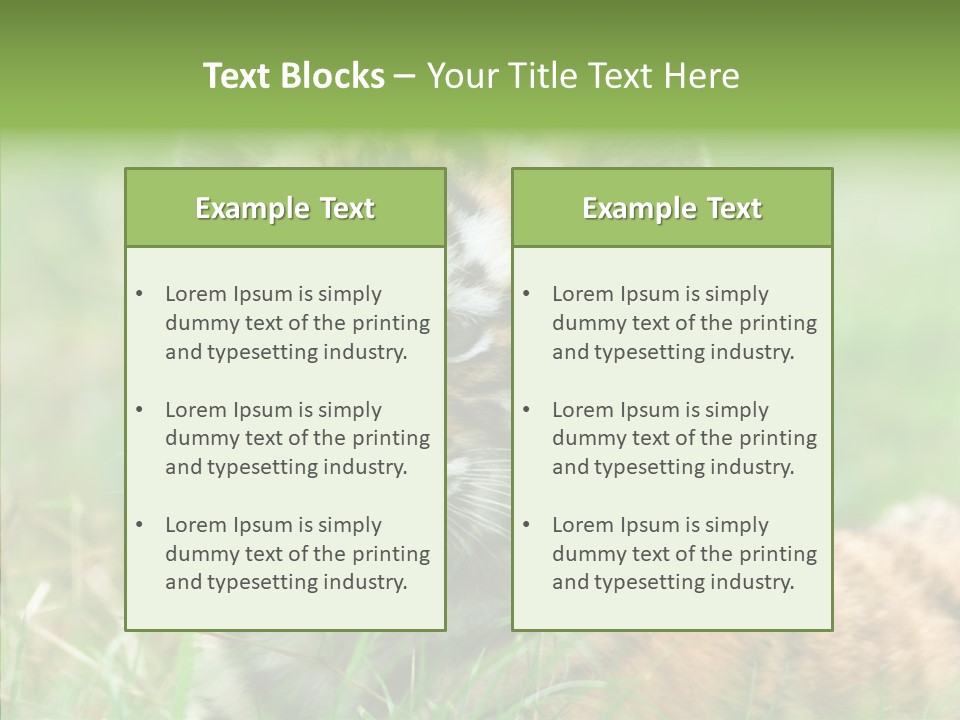 Tigris Nature White PowerPoint Template