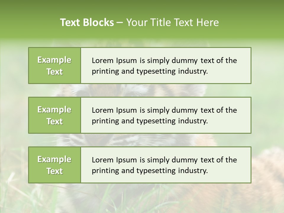 Tigris Nature White PowerPoint Template