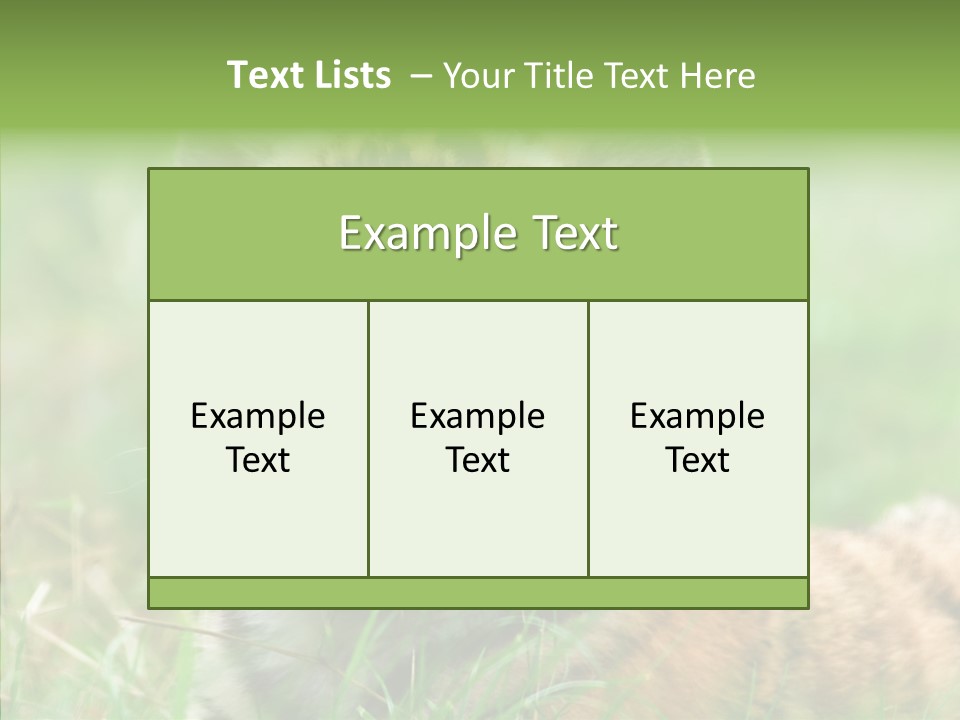 Tigris Nature White PowerPoint Template