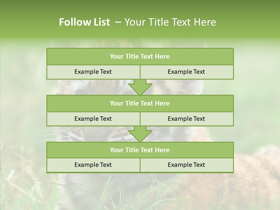 Tigris Nature White PowerPoint Template