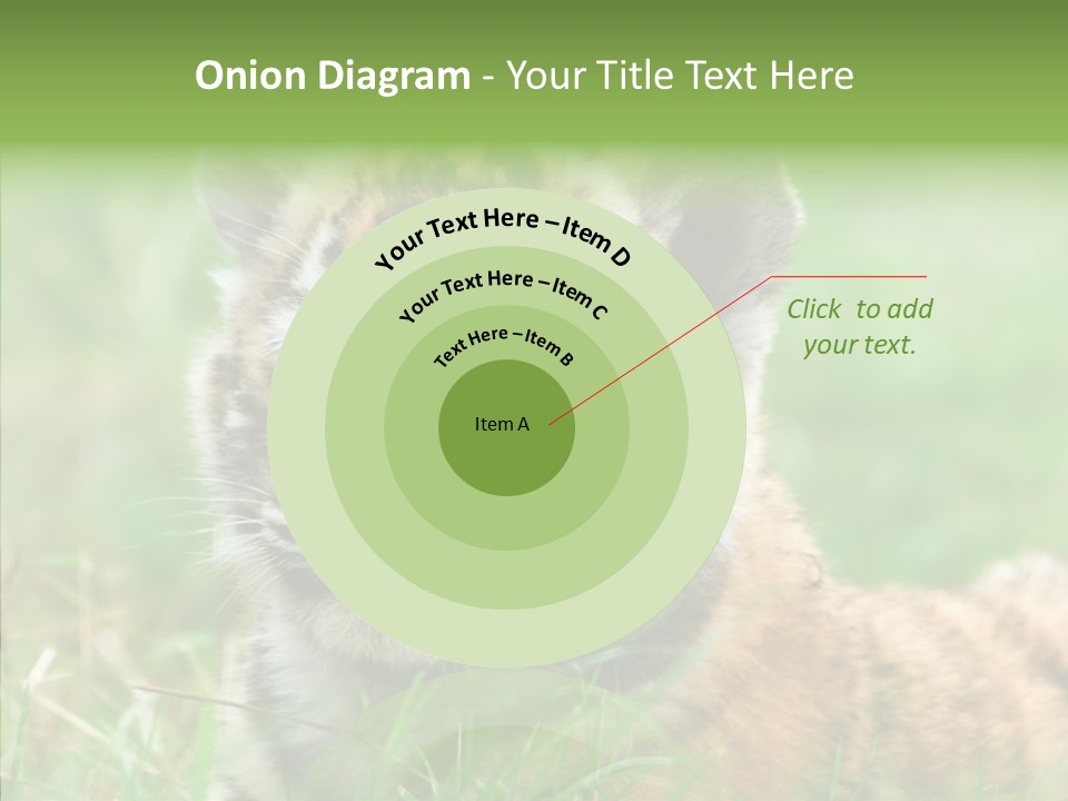 Tigris Nature White PowerPoint Template