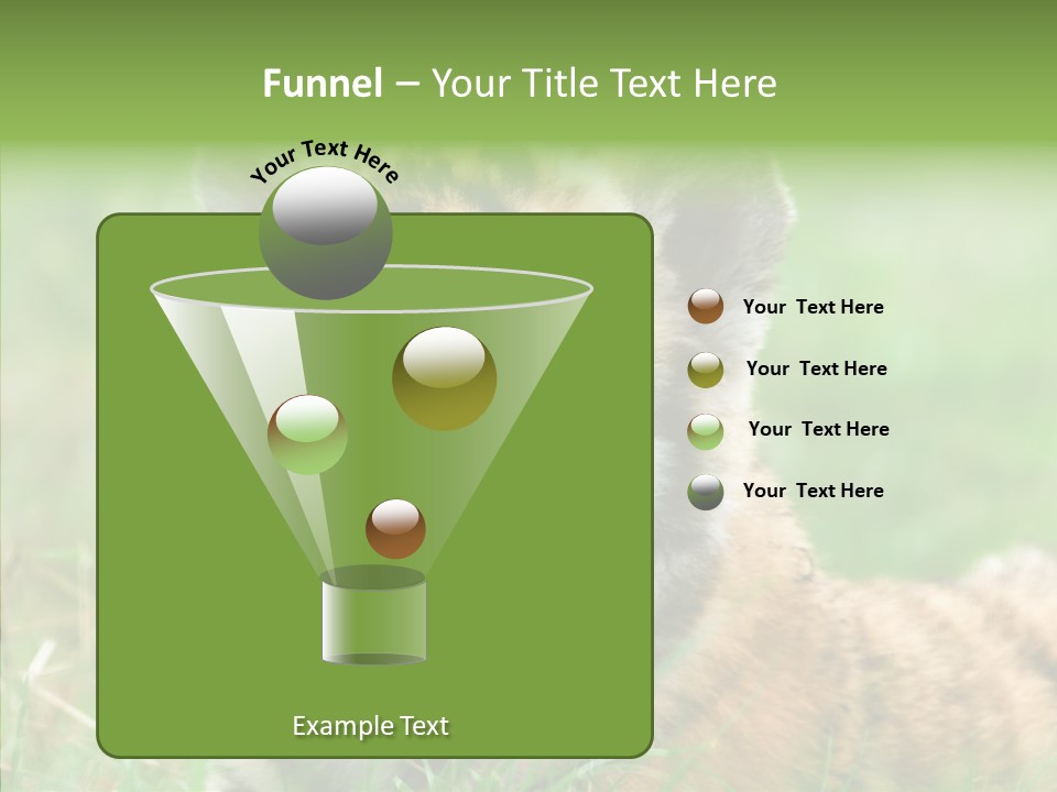 Tigris Nature White PowerPoint Template