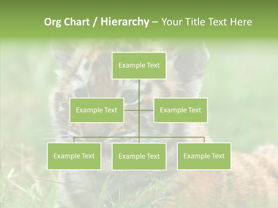 Tigris Nature White PowerPoint Template