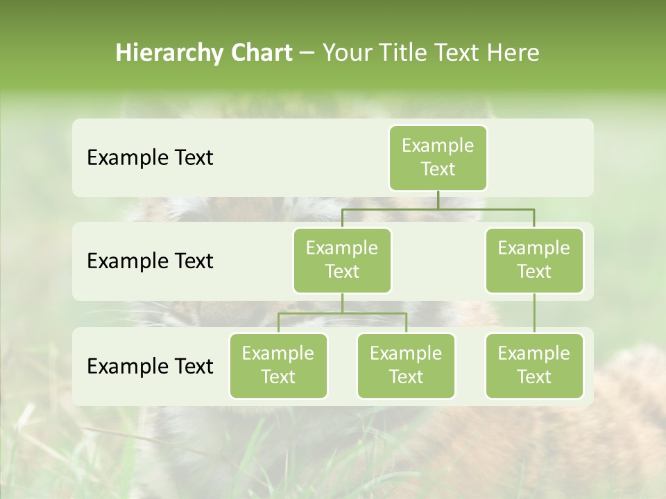 Tigris Nature White PowerPoint Template