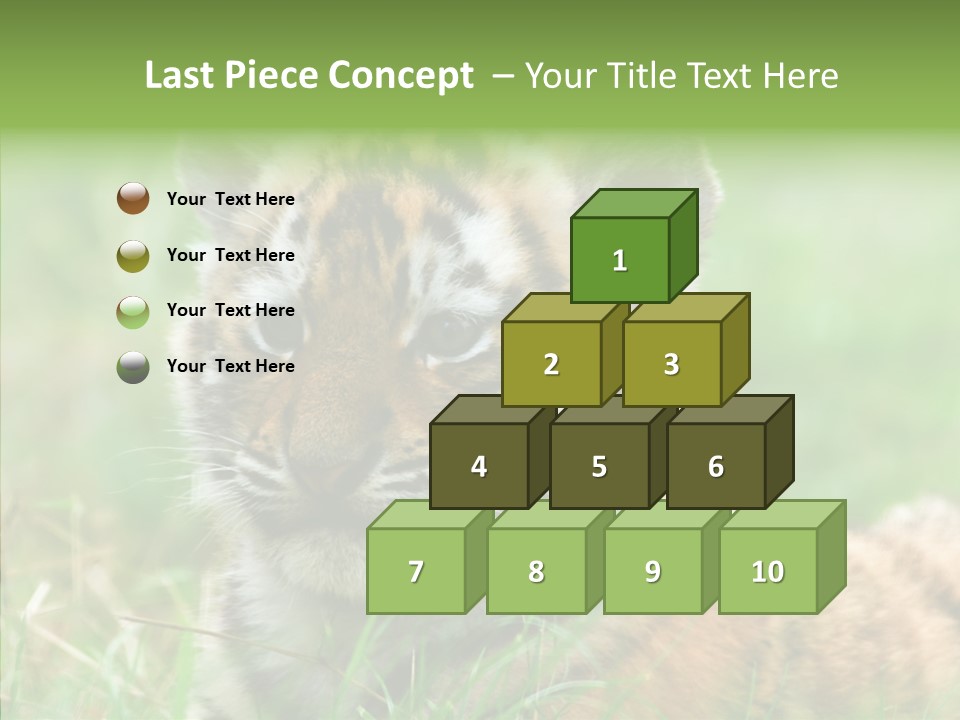 Tigris Nature White PowerPoint Template