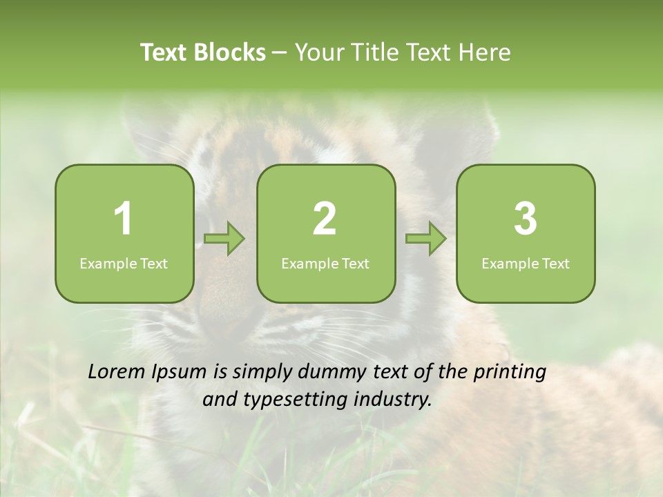 Tigris Nature White PowerPoint Template
