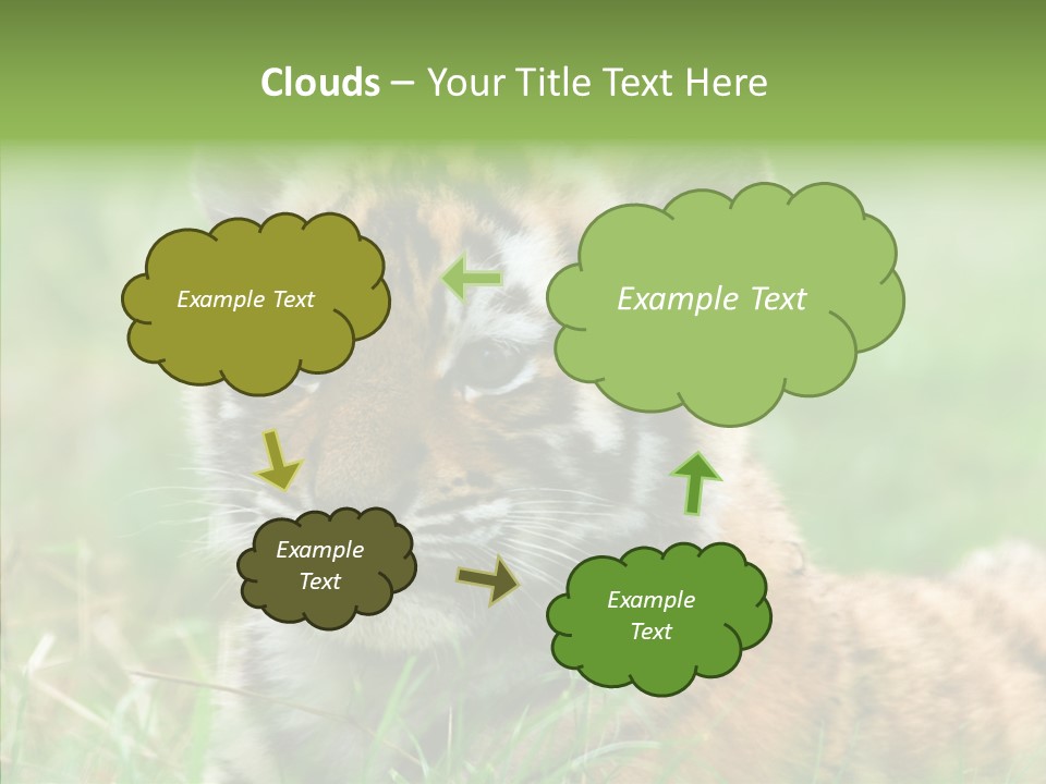 Tigris Nature White PowerPoint Template