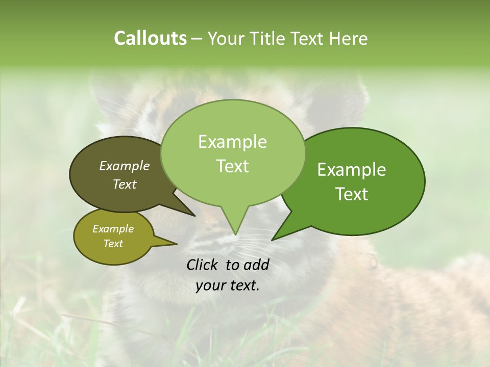 Tigris Nature White PowerPoint Template