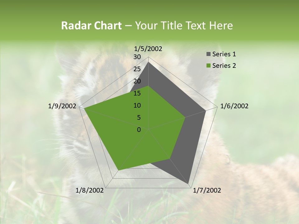 Tigris Nature White PowerPoint Template