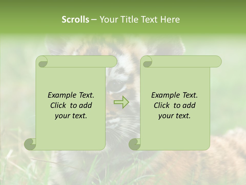 Tigris Nature White PowerPoint Template
