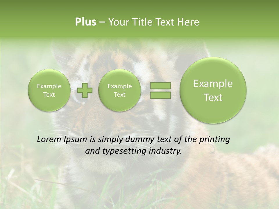 Tigris Nature White PowerPoint Template