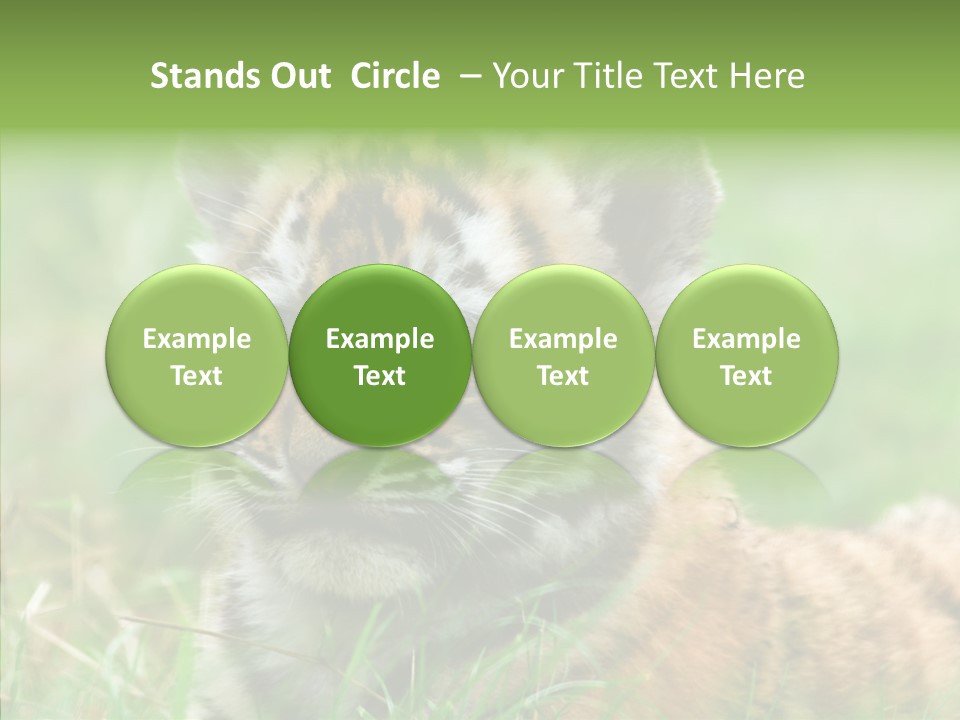 Tigris Nature White PowerPoint Template