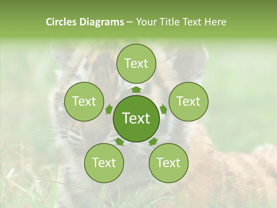 Tigris Nature White PowerPoint Template