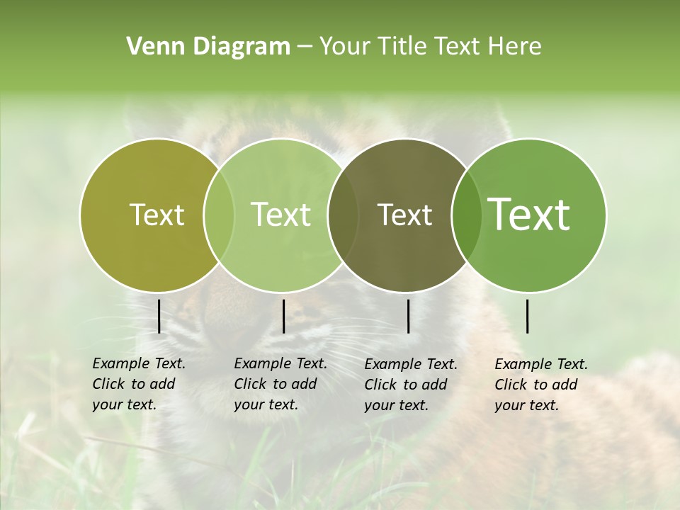 Tigris Nature White PowerPoint Template