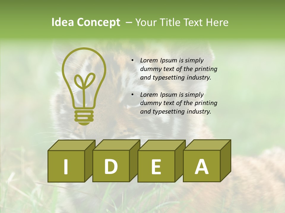 Tigris Nature White PowerPoint Template