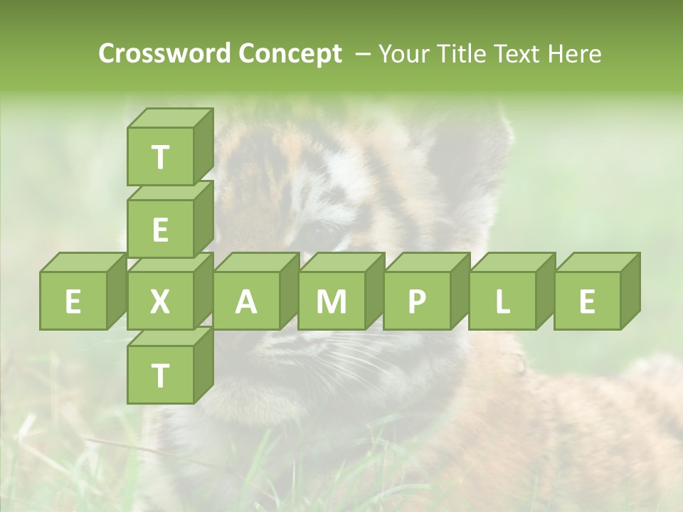 Tigris Nature White PowerPoint Template