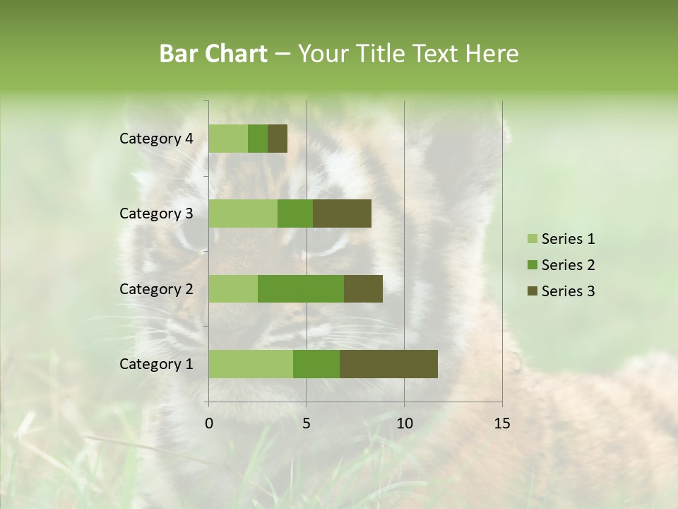 Tigris Nature White PowerPoint Template