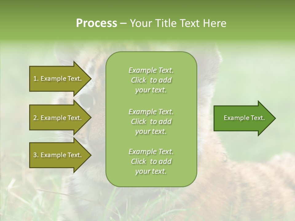 Tigris Nature White PowerPoint Template