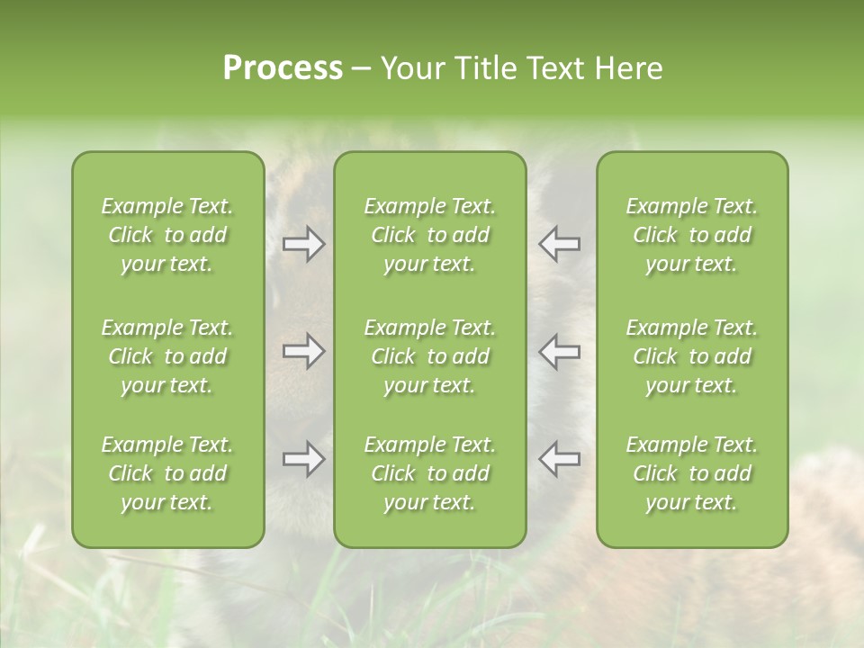 Tigris Nature White PowerPoint Template