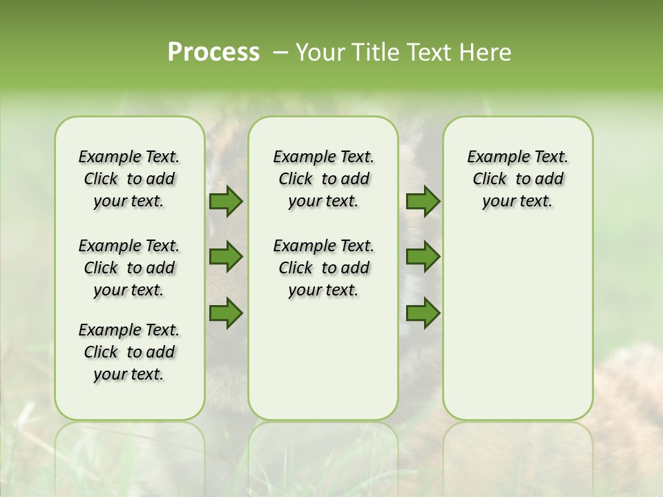 Tigris Nature White PowerPoint Template