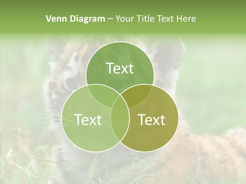 Tigris Nature White PowerPoint Template