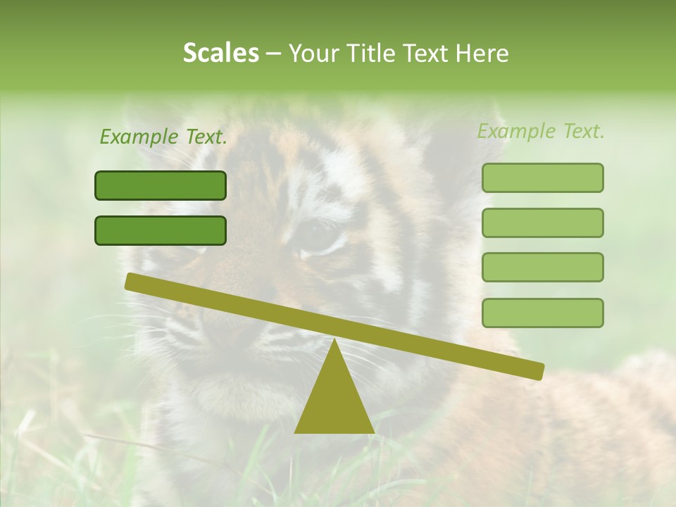 Tigris Nature White PowerPoint Template