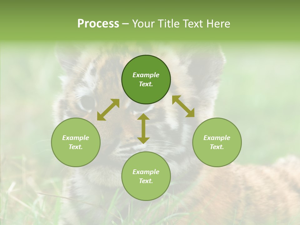 Tigris Nature White PowerPoint Template