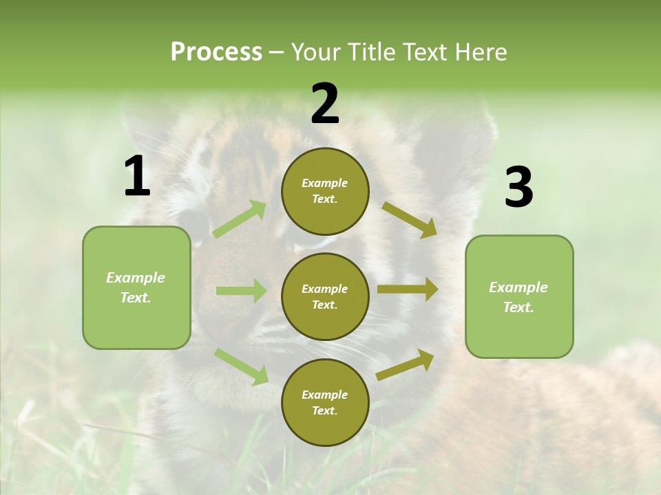 Tigris Nature White PowerPoint Template