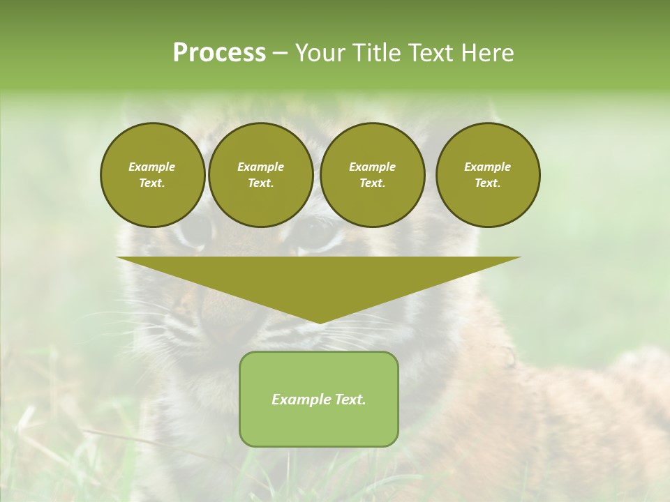 Tigris Nature White PowerPoint Template