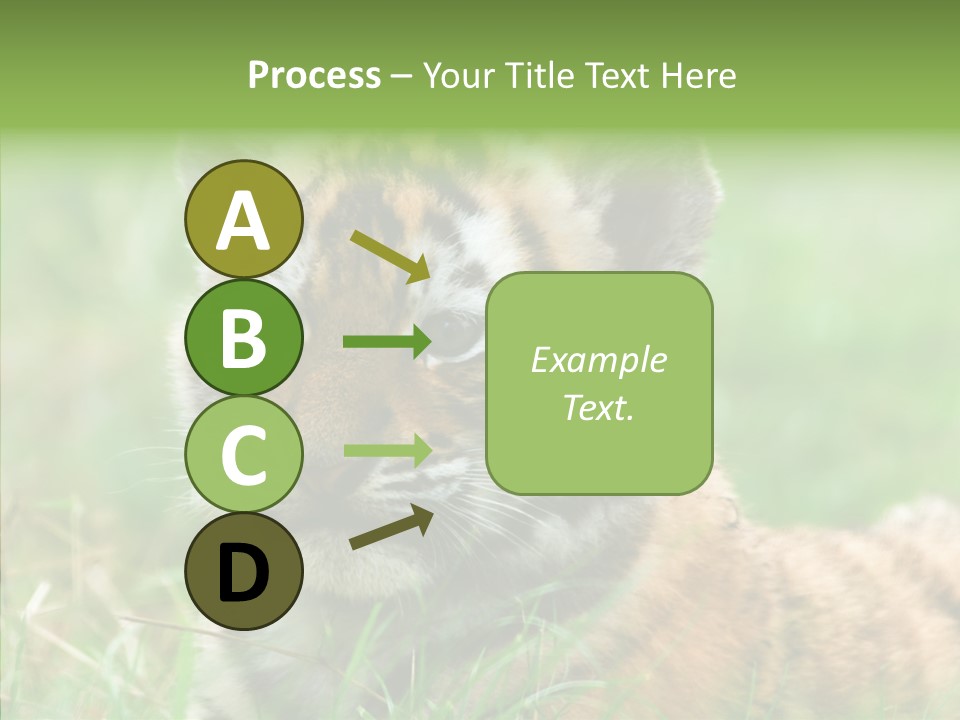 Tigris Nature White PowerPoint Template