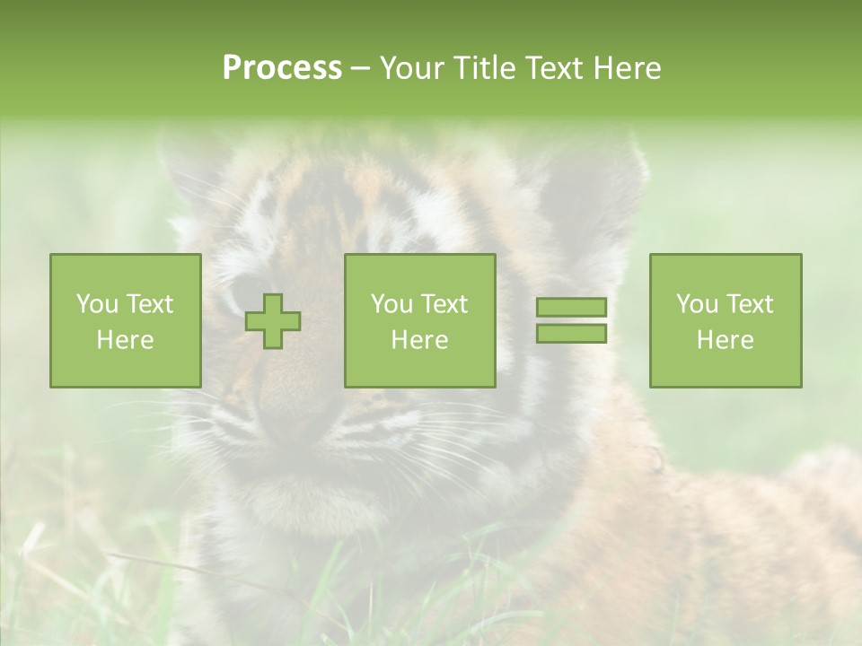 Tigris Nature White PowerPoint Template