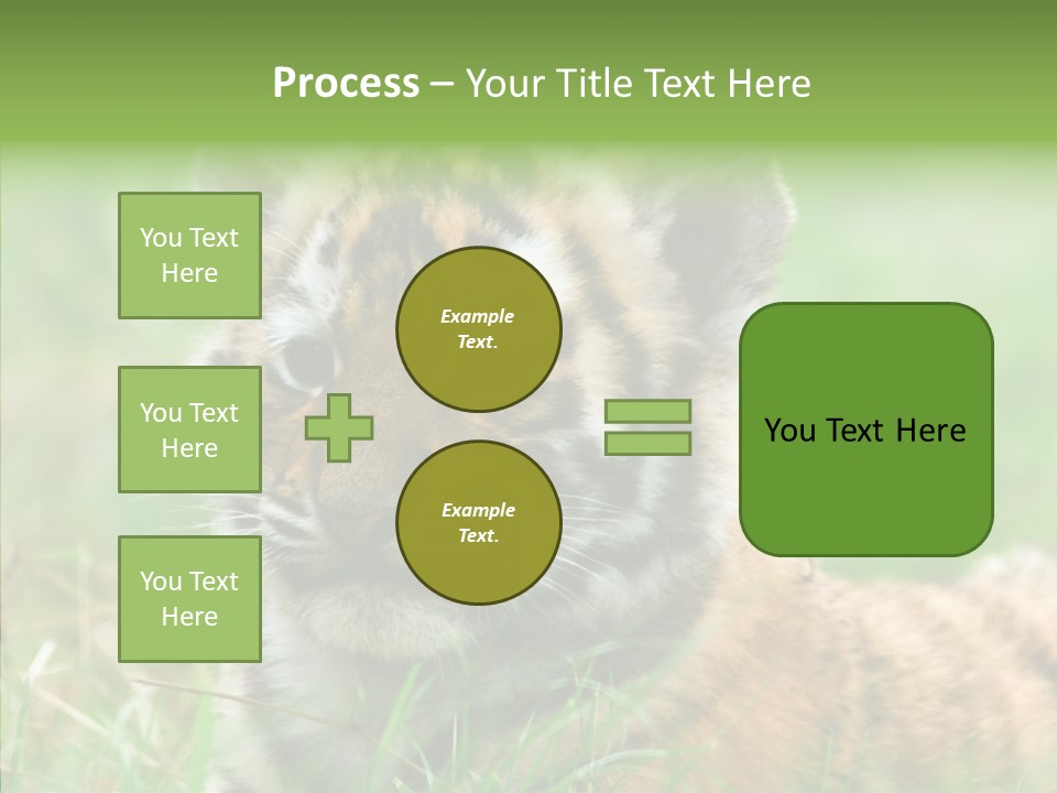 Tigris Nature White PowerPoint Template