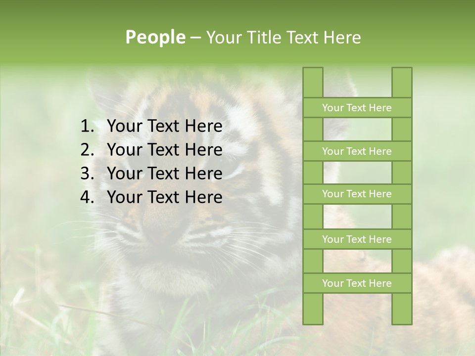 Tigris Nature White PowerPoint Template