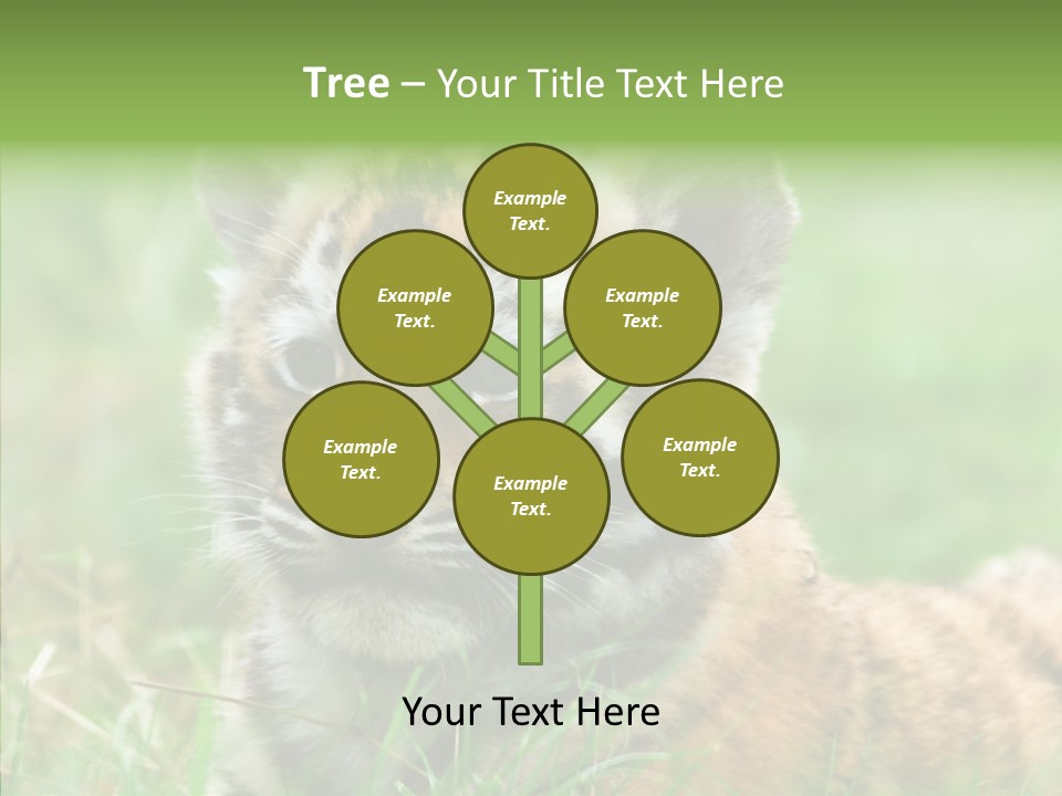 Tigris Nature White PowerPoint Template