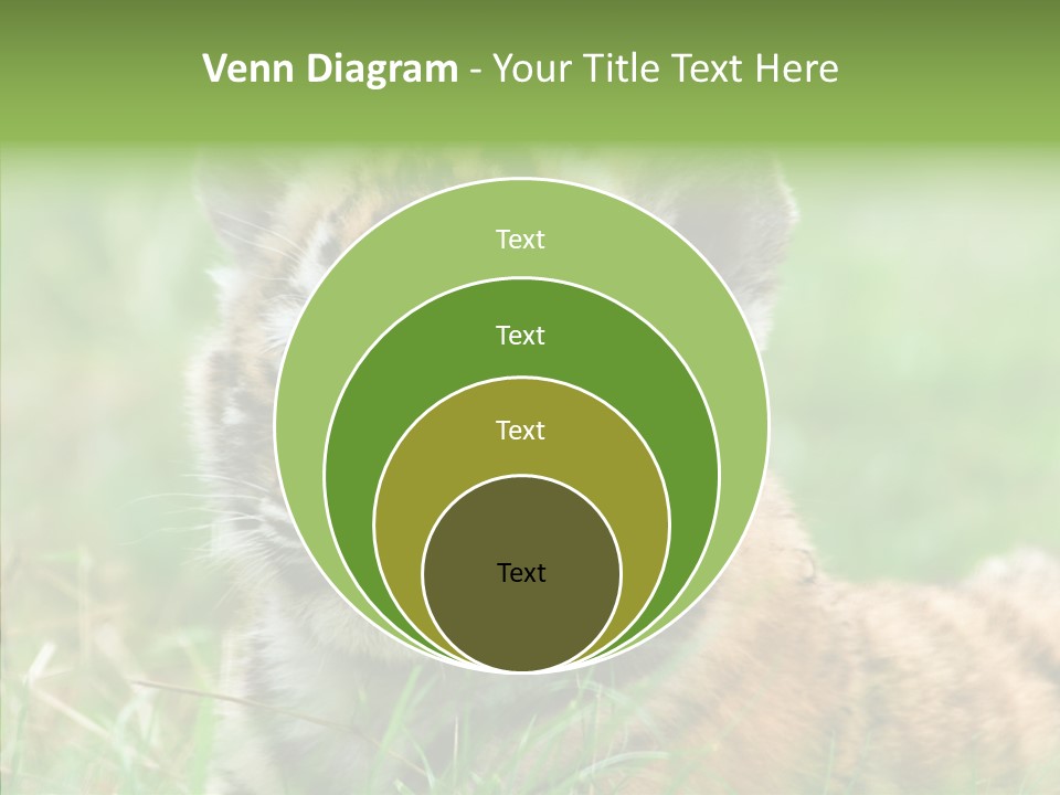 Tigris Nature White PowerPoint Template