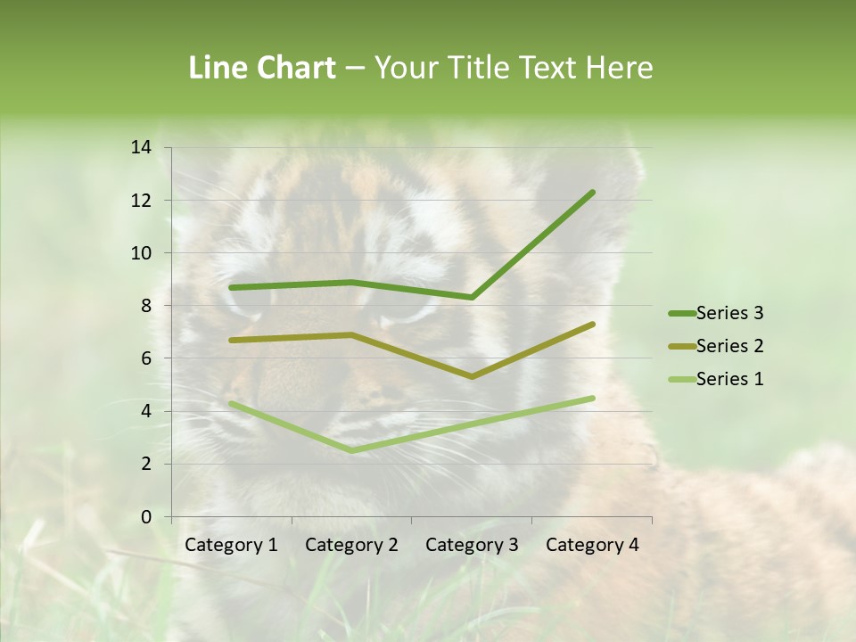 Tigris Nature White PowerPoint Template