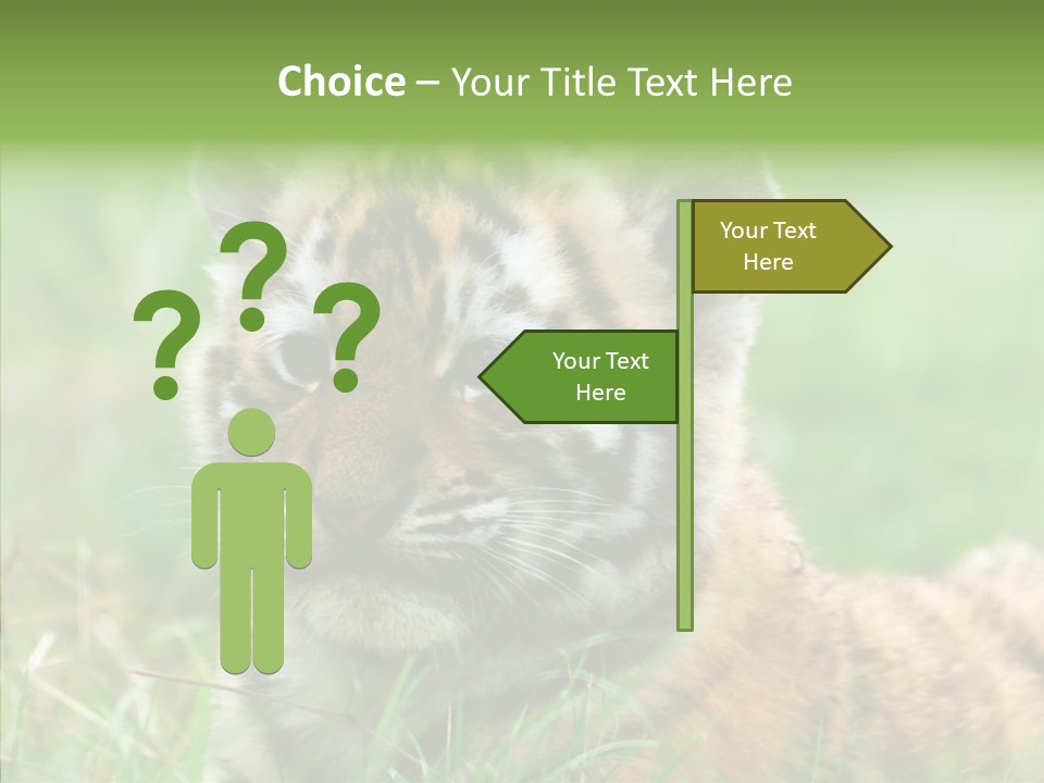 Tigris Nature White PowerPoint Template