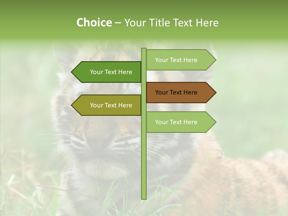 Tigris Nature White PowerPoint Template