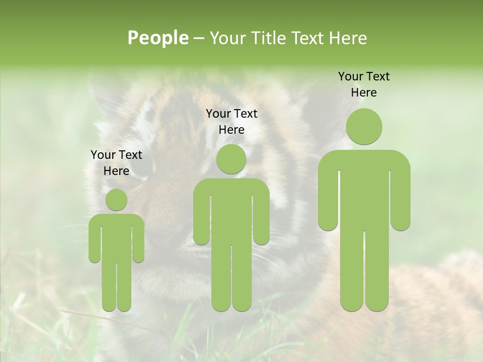 Tigris Nature White PowerPoint Template