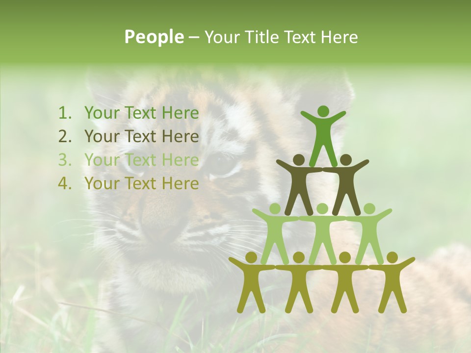 Tigris Nature White PowerPoint Template