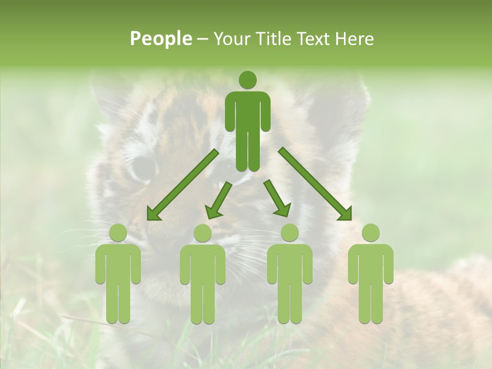 Tigris Nature White PowerPoint Template