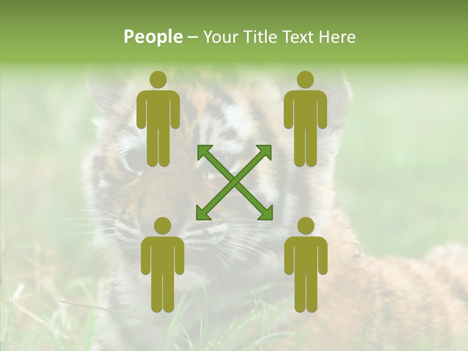 Tigris Nature White PowerPoint Template