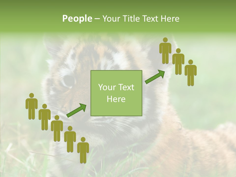 Tigris Nature White PowerPoint Template